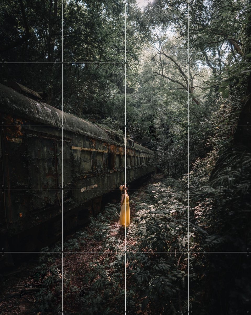 IXXI Forest, Tristan Zhou - 80 x 100 cm - Gratis ophangtool - Grote wanddecoratie en posters - Fotografie, Mancave, Woonkamer, Slaapkamer, Bossen