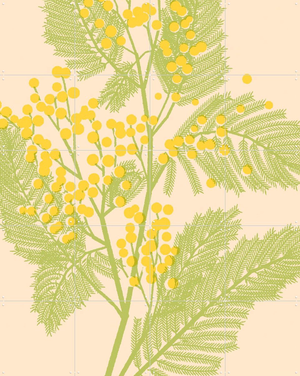 IXXI Mimosa, Florent Bodart - 80 x 100 cm - Gratis ophangtool - Grote wanddecoratie en posters - Grafisch Ontwerp, Minimalisme, Kleurrijk