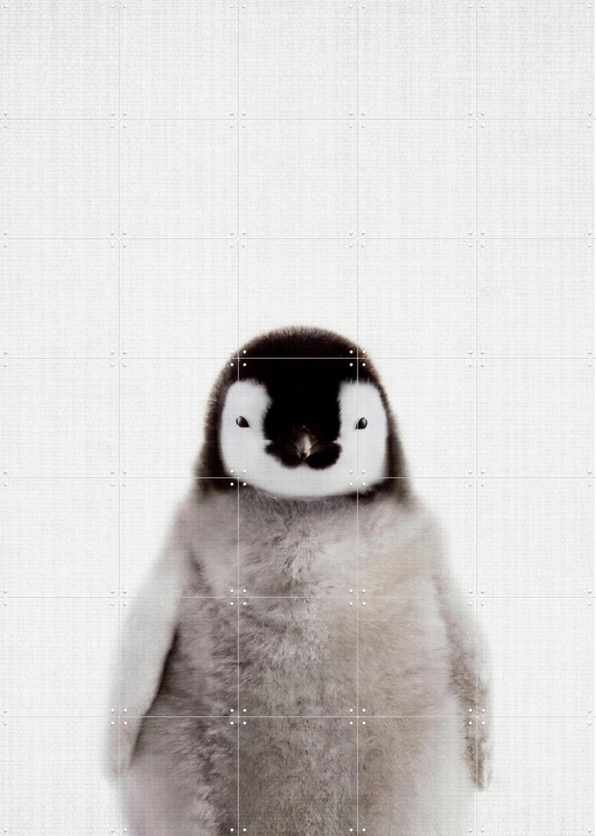 IXXI Print 362 Pinguin, Lila + Lola - 100 x 140 cm - Gratis ophangtool - Grote wanddecoratie en posters - Fotografie, Minimalisme, Woonkamer