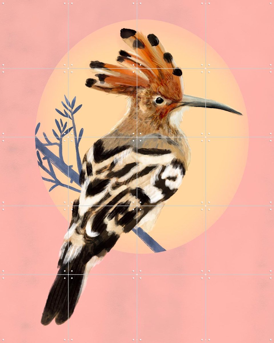 IXXI Hoopoe, Esther Sepers - 80 x 100 cm - Gratis ophangtool - Grote wanddecoratie en posters - Kleurrijk, Speels, Digitale Kunst, Illustraties
