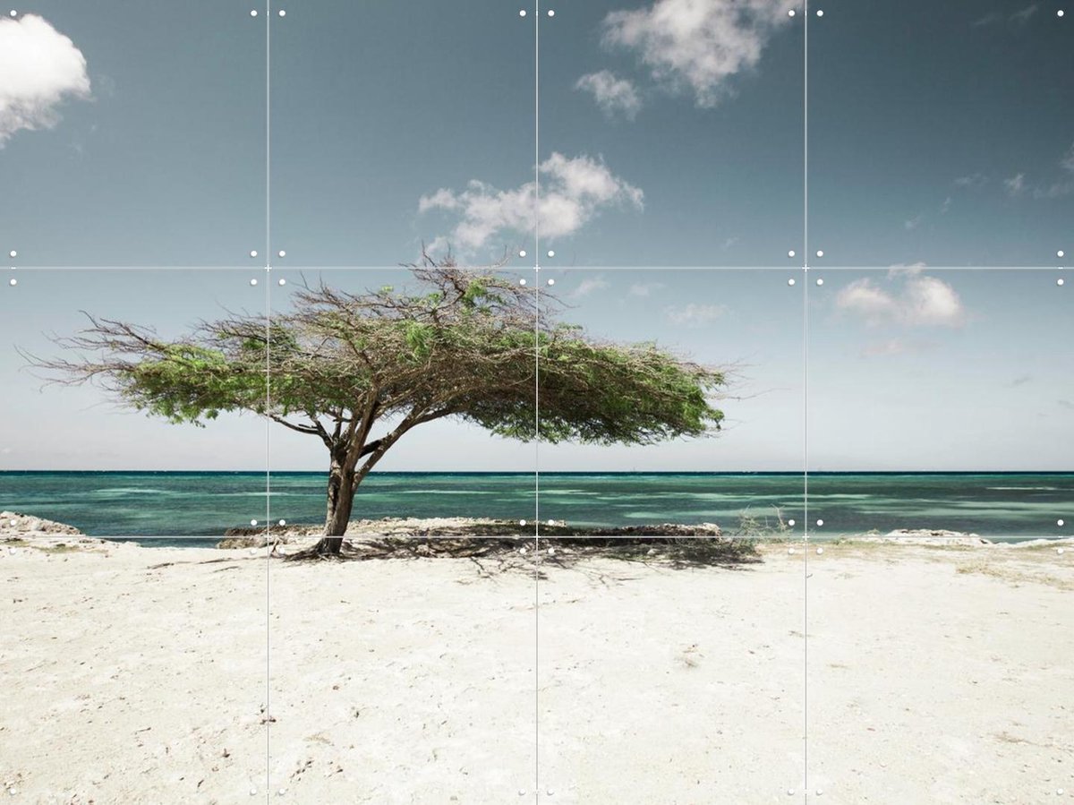 IXXI Tropical Views, Claire Droppert - 80 x 60 cm - Gratis ophangtool - Grote wanddecoratie en posters - Surrealisme, Realisme, Minimalisme