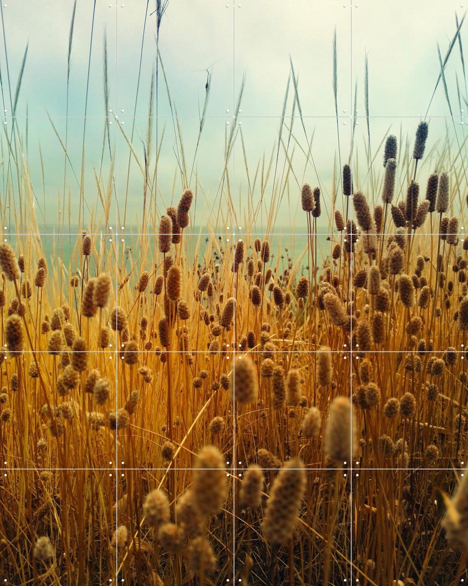 IXXI Golden Hours, Angelo Cerantola - 80 x 100 cm - Gratis ophangtool - Grote wanddecoratie en posters - Naturalisme, Fotografie, Slaapkamer