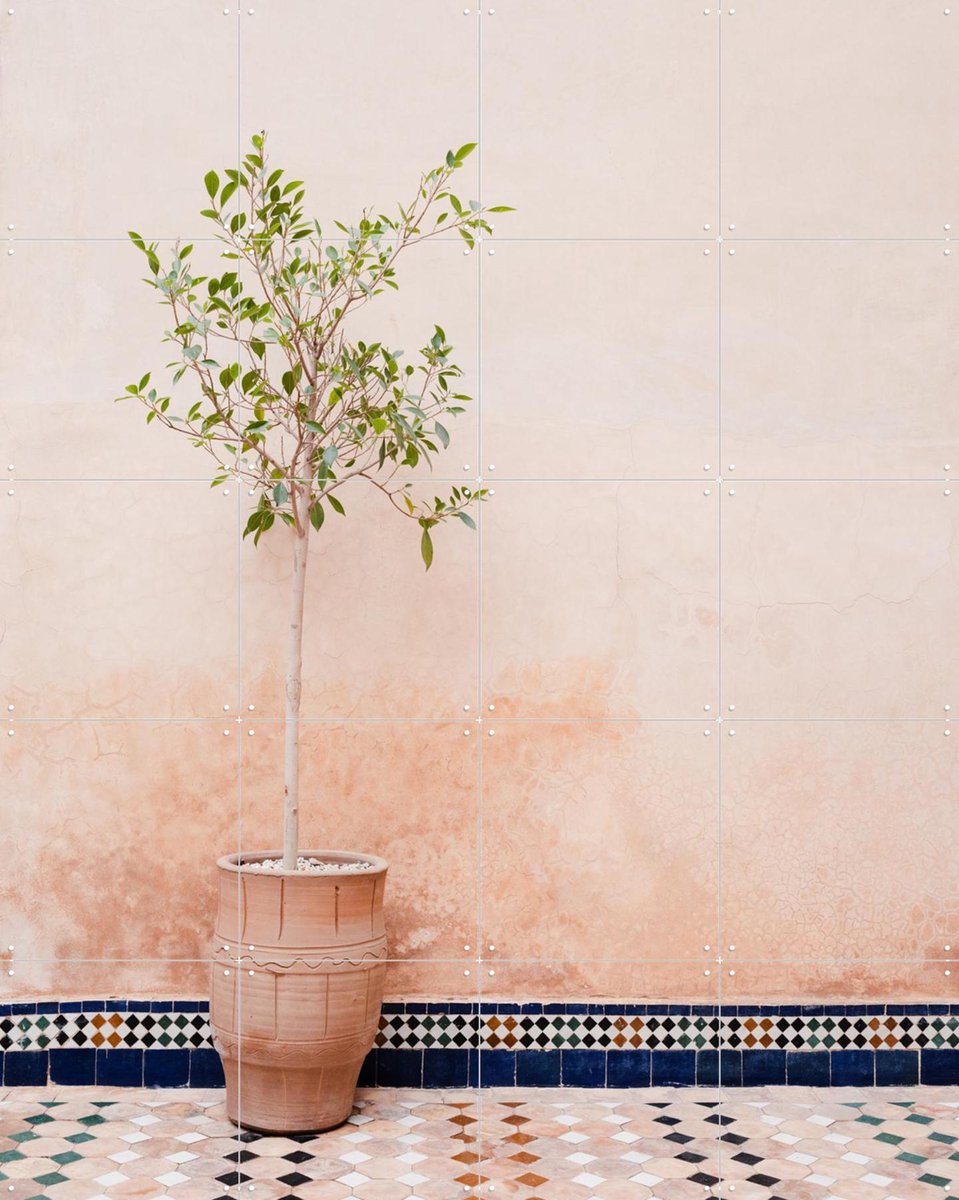 IXXI Terracotta Plant In Morocco, Photolovers - 80 x 100 cm - Gratis ophangtool - Grote wanddecoratie en posters - Minimalisme, Naturalisme