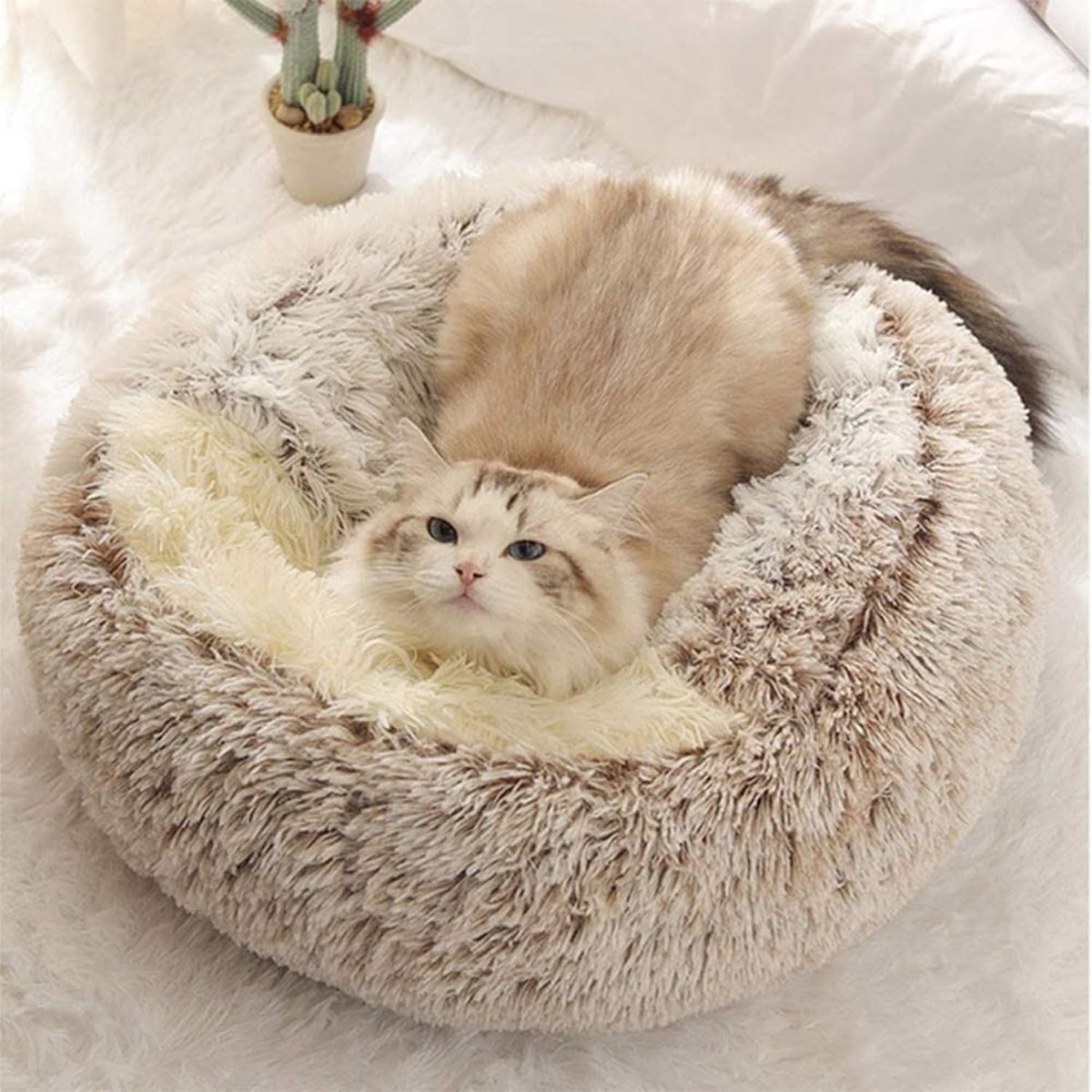 Kattenmand Kalmerend - Huisdierbed Sofa - Veilig Slapen - Verhoogde Rand - 60cm Diameter - Bruin