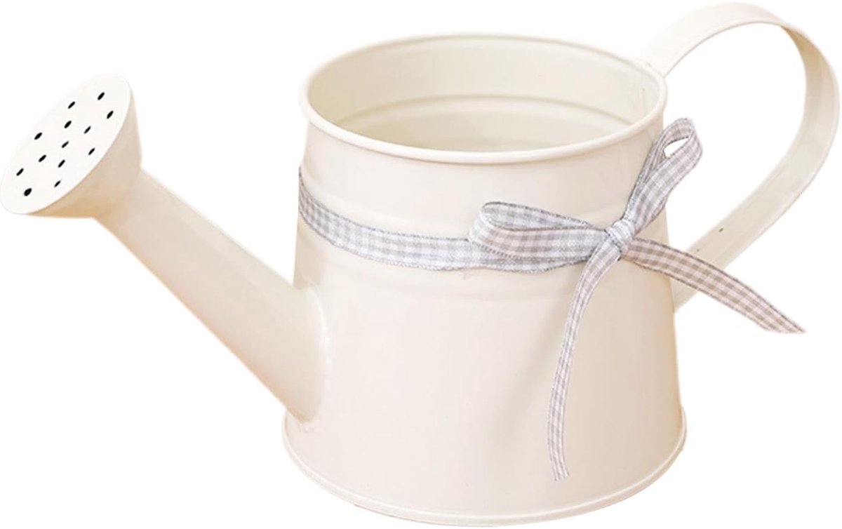 Kleine Gieter - Watercontainer Planten - Binnen Buiten - Decoratief Metaal - 1 Liter Capaciteit