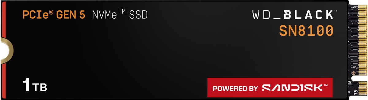 WD Black SN8100 1TB NVMe SSD