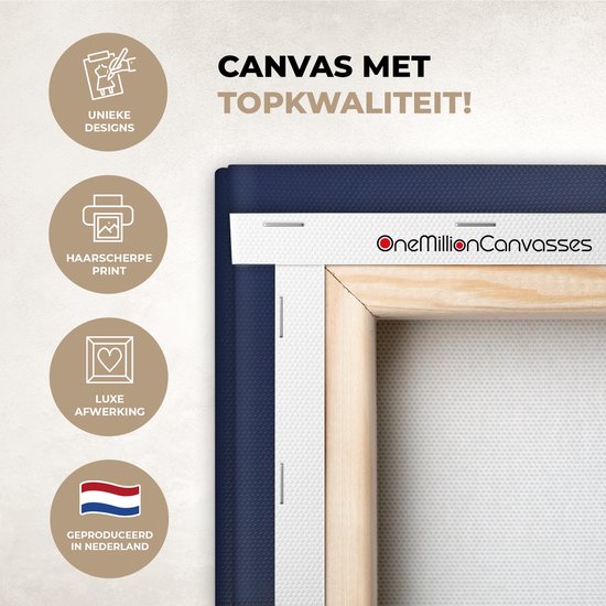 Detail van een canvas print met iconen: 'Unieke designs', 'Haarscherpe print', 'Luxe afwerking', 'Geproduceerd in Nederland'.