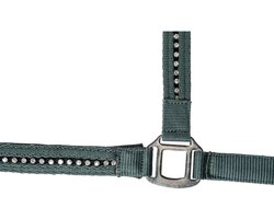 Halter Paard - Paardentuig - Stallen - Zachte Voering - 22x17x10 cm