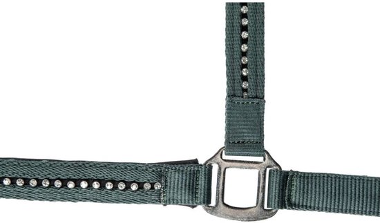 Halter Paard - Paardentuig - Stallen - Zachte Voering - 22x17x10 cm Halter Paard - Paardentuig - Stallen - Zachte Voering - 22x17x10 cm