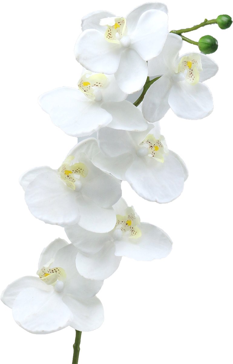 Viana Kunst orchidee kunstbloem wit Ø6,5-8cm 77cm