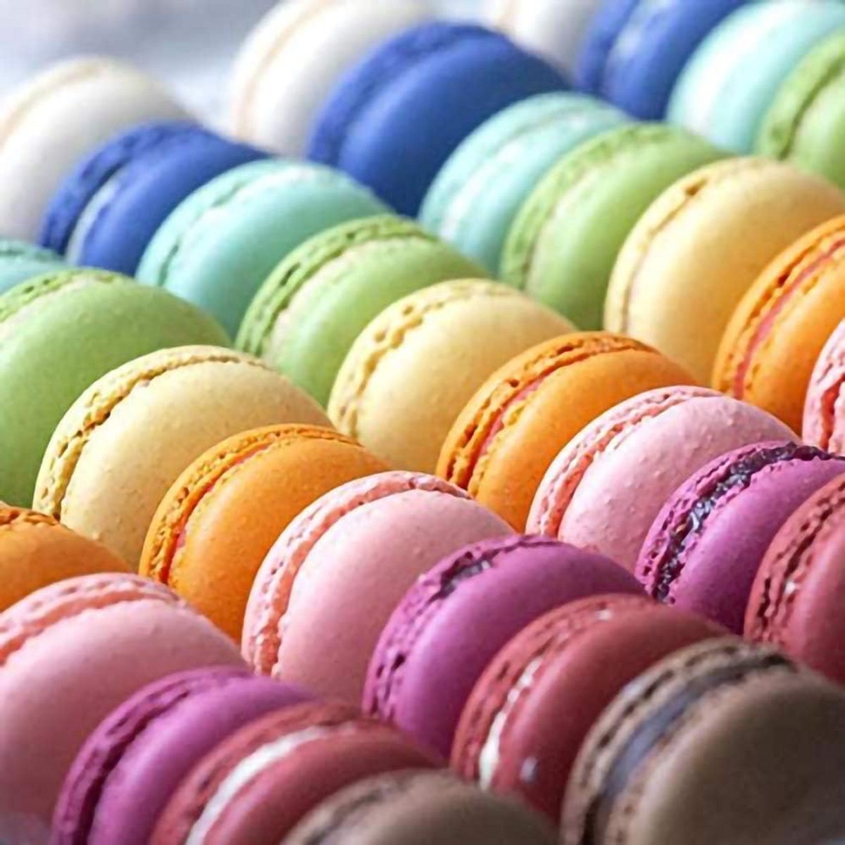 Set van 6 Onderzetters met Macarons Print - Hoge Kwaliteit Tafelbeschermers