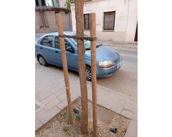 Houten palen voor bomen en planten - 180 cm, Ø 5 cm