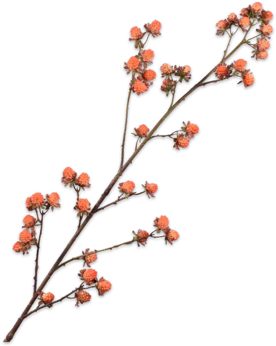Silk-ka kunsttak braam 113cm oranje