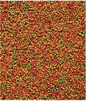 Een close-up van NutriBird B14 pellets in de kleuren groen, rood en oranje.