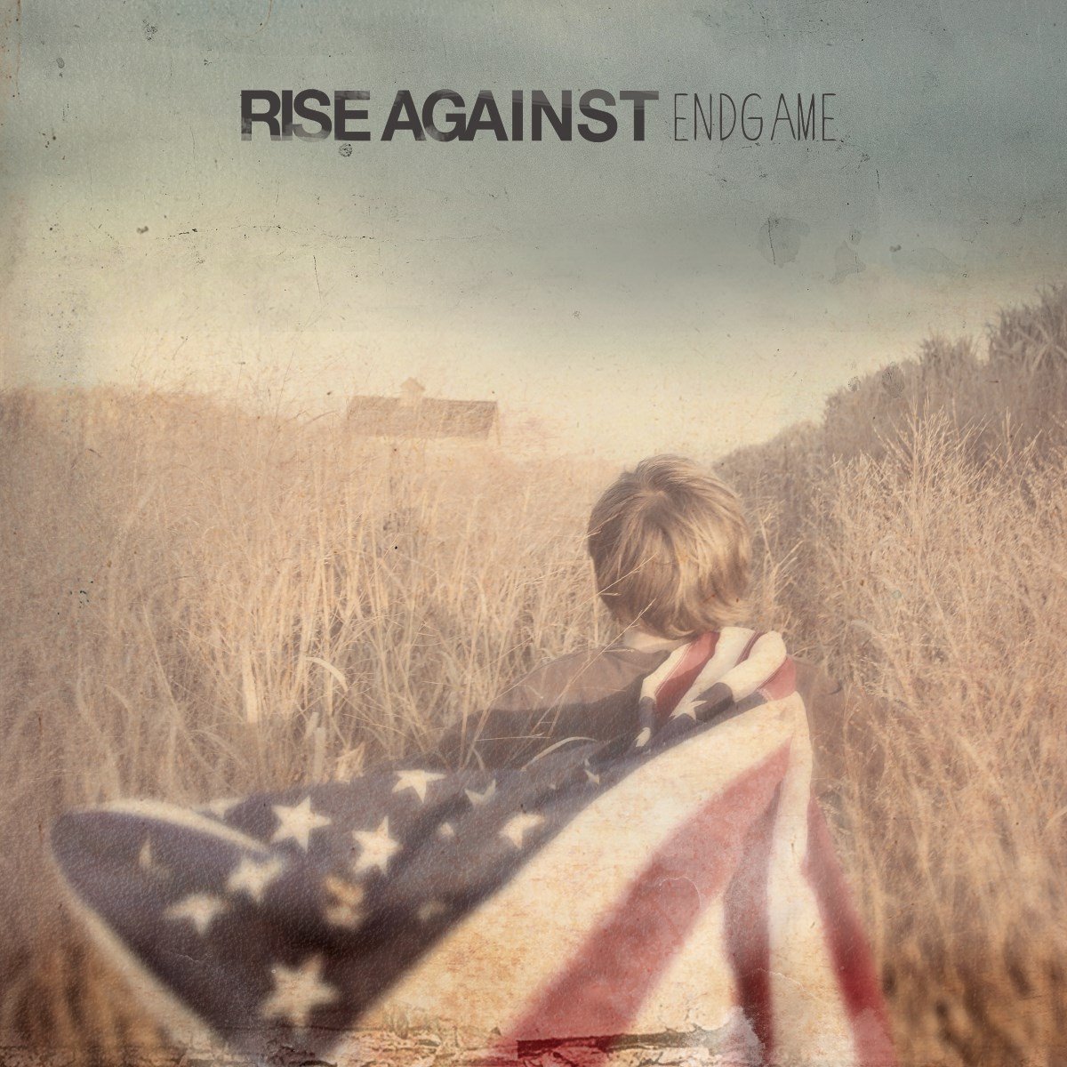 Rise Against - Endgame (180gr)