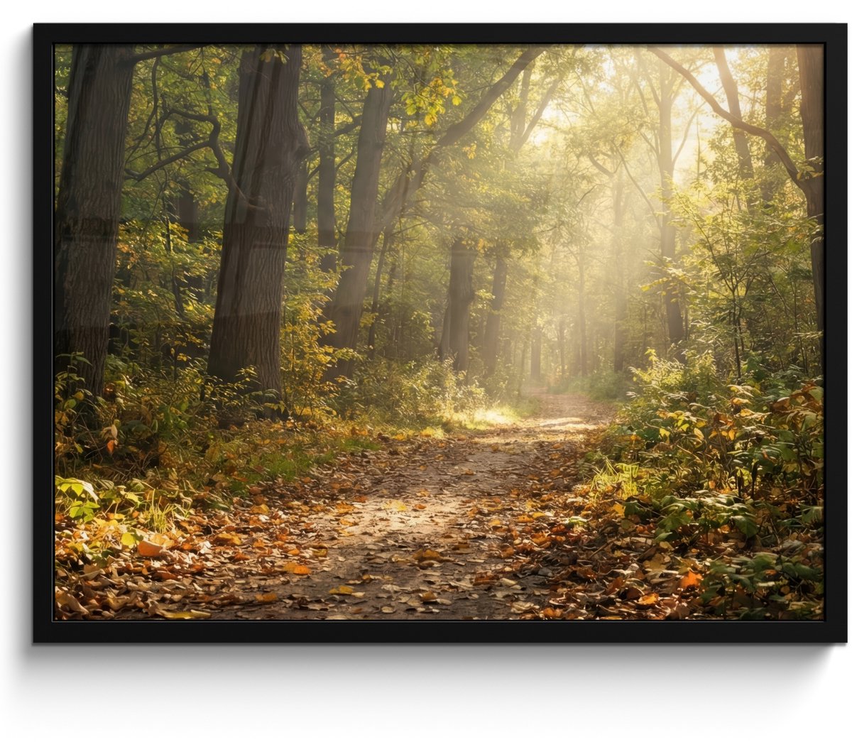 FrameYourWall Poster in lijst - Fotolijst 80x60 cm - Posters - Zonlicht - Bospad - Bomen - Posterlijst zwart - Decoratie - Wanddecoratie woonkamer - Muurdecoratie slaapkamer