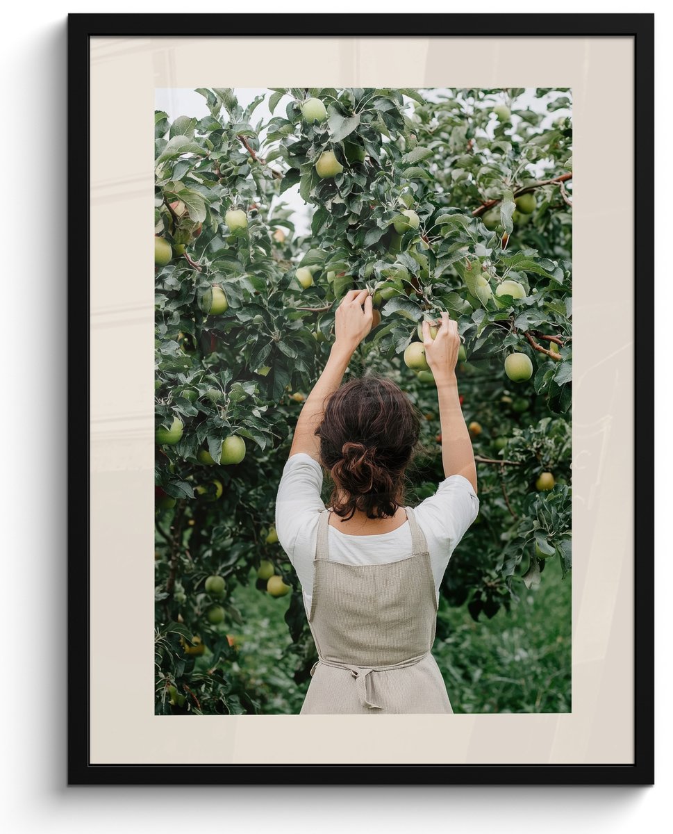 FrameYourWall Fotolijst inclusief poster - Posterlijst 50x70 cm - Posters - Boom - Appels - Plukken - Natuur - Foto in lijst - Keuken decoratie muur - Wanddecoratie accessoires - Muurdecoratie - Schilderijen Appelboom
