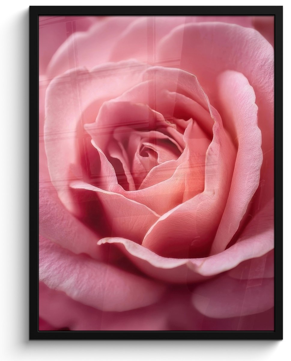 FrameYourWall Poster in lijst - Fotolijst 50x70 cm - Posters - Roze - Roos - Romantisch - Posterlijst zwart - Decoratie - Wanddecoratie woonkamer - Muurdecoratie slaapkamer