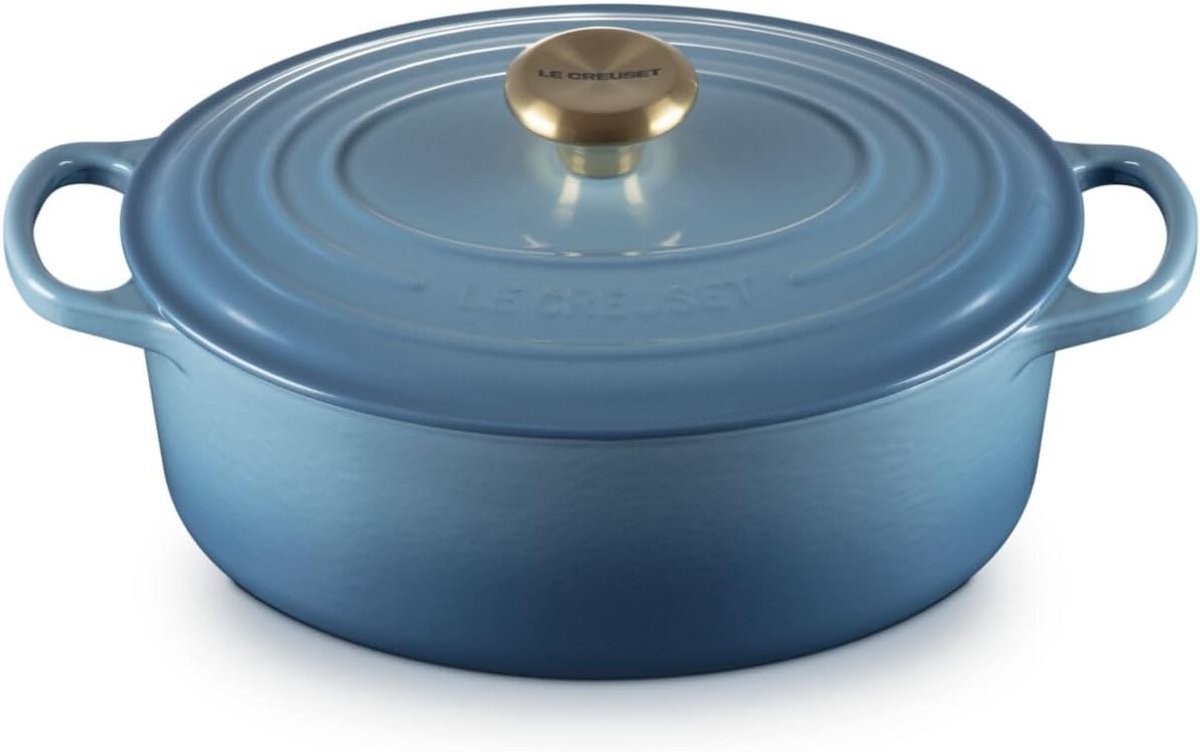 Ovale Braadpan van Geëmailleerd Gietijzer 27 cm 4,1 L voor Alle Warmtebronnen