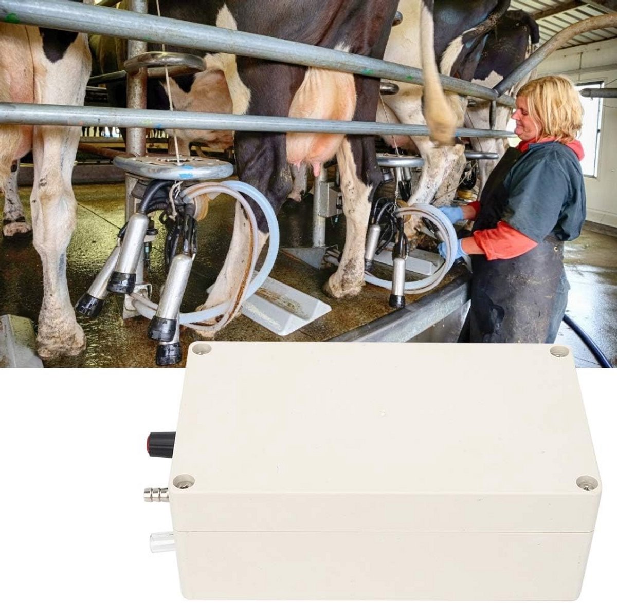 Draagbare Elektrische Vacuümpomp 12V voor Melken van Vee