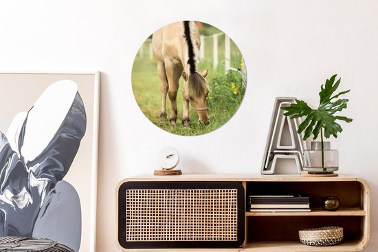 Wall Circle - Wall Circle Inside - un cheval de fjord dans un champ d'herbe - ⌀ 60 cm - Décoration murale - Peintures ronds