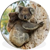 WallCircle - Wandcirkel - Muurcirkel - Koala's - Kind - Boom - Kinderen - Jongetje - Meiden - Aluminium - Dibond - ⌀ 90 cm - Binnen en Buiten