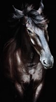 Horse art – 80cm x 120cm - Fotokunst op PlexiglasⓇ incl. certificaat & garantie.
