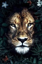 Lion king – 80cm x 120cm - Fotokunst op PlexiglasⓇ incl. certificaat & garantie.