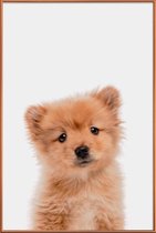 JUNIQE - Poster met kunststof lijst Puppy II -13x18 /Bruin