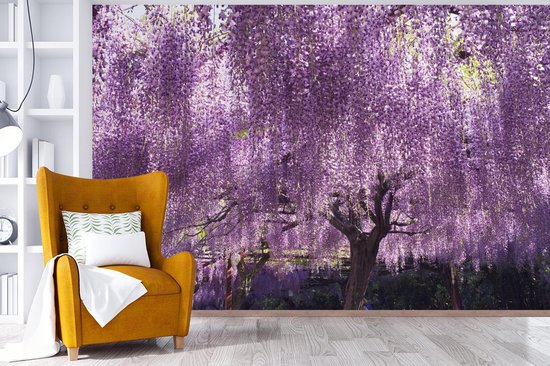 Blooming fotobehang de glycines