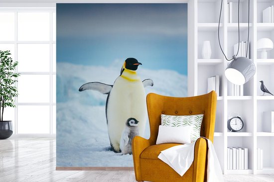 Vinyle mural Papier peint photo - Empereur pingouin avec cub largeur 225 cm x hauteur 280 cm - impression sur le papier peint photo (disponible en 7 tailles)