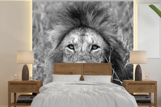 Papier peint Papier peint photo en vinyle - Portrait de lion largeur 350 cm x hauteur 350 cm - Tirage photo sur papier peint (disponible en 7 tailles)