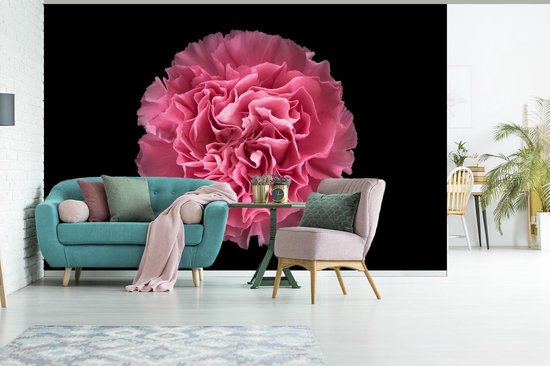 Papier peint photo peint photo vinyle - Oeillet rose sur fond noir largeur 360 cm x hauteur 240 cm - Tirage photo sur papier peint (disponible en 7 tailles)