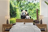 Behang - Fotobehang Panda - Brug - Natuur - Breedte 240 cm x hoogte 240 cm