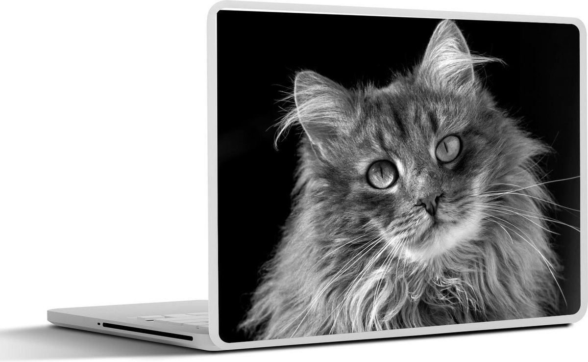 Afbeelding van product SleevesAndCases  Laptop sticker - 14 inch - Kat met ogen - zwart wit