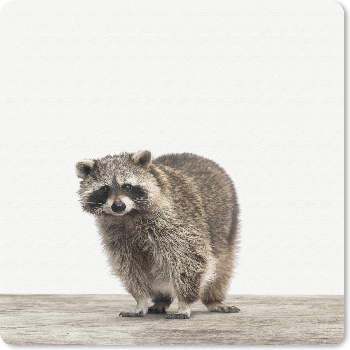 Muismat 30x30 cm - Mousepad Dieren - Wasbeer - Wit - Muismatten