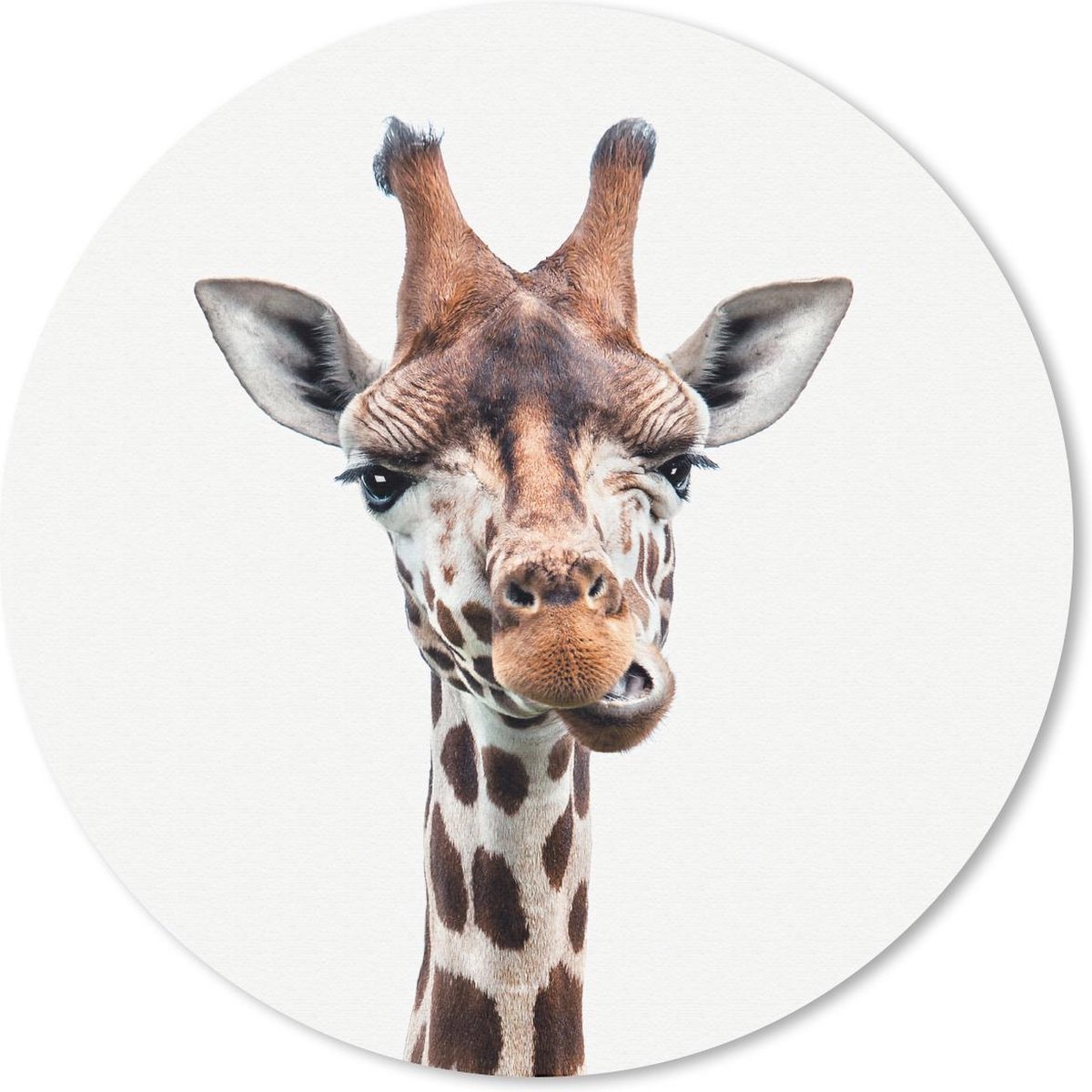 Muismat - Mousepad - Rond - Dieren - Portret - Giraf - 50x50 cm - Ronde muismat