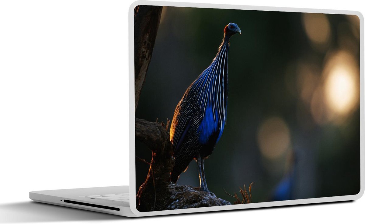 Afbeelding van product SleevesAndCases  Laptop sticker - 10.1 inch - Parelhoenders - Vogels - Veren