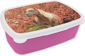 Broodtrommel Roze - Lunchbox Paard - Pony - Herfstbladeren - Brooddoos 18x12x6 cm - Brood lunch box - Broodtrommels voor kinderen en volwassenen
