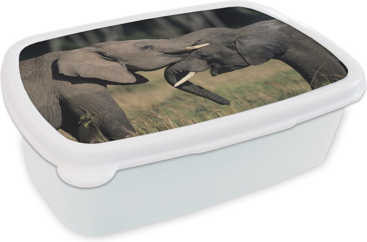Broodtrommel Wit - Lunchbox - Brooddoos - Stoeiende olifanten - 18x12x6 cm - Volwassenen