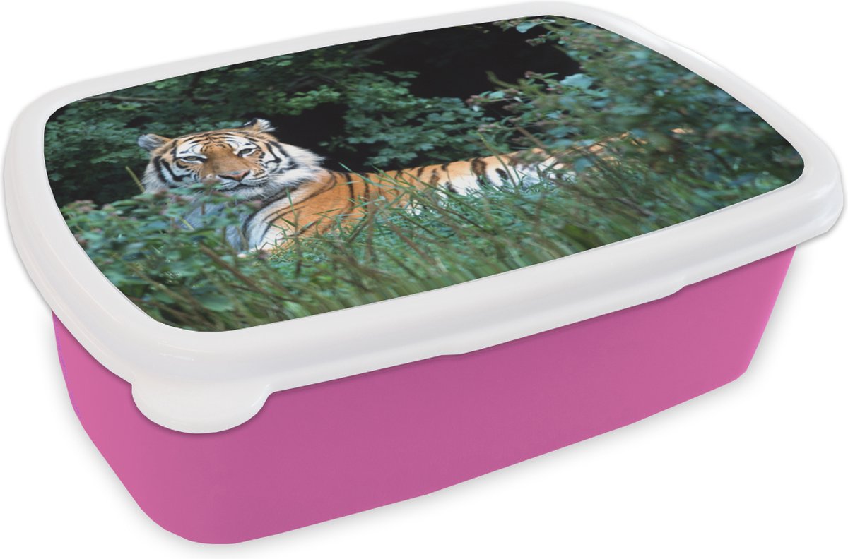 Broodtrommel Roze - Lunchbox - Brooddoos - Tijger - Gras - Groen - 18x12x6 cm - Kinderen - Meisje