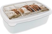 Broodtrommel Wit - Lunchbox - Brooddoos - Schotse hooglander - Doorkijk - Koe - 18x12x6 cm - Volwassenen