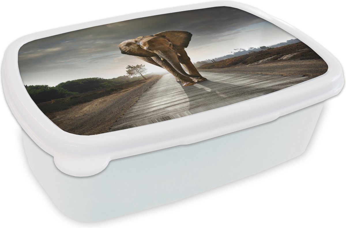 Broodtrommel Wit - Lunchbox - Brooddoos - Olifant - Natuur - Weg - 18x12x6 cm - Volwassenen