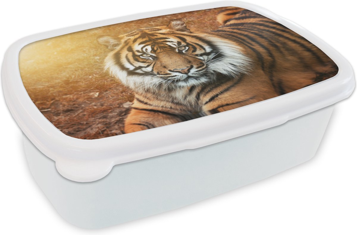 Broodtrommel Wit - Lunchbox - Brooddoos - Portret - Tijger - Zon - 18x12x6 cm - Volwassenen