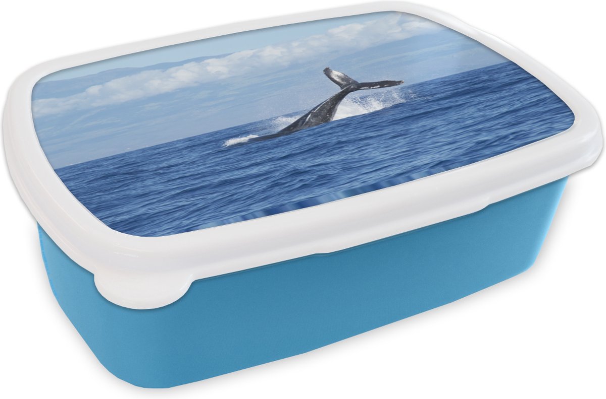 Broodtrommel Blauw - Lunchbox - Brooddoos - Walvis - Oceaan - Wolken - 18x12x6 cm - Kinderen - Jongen