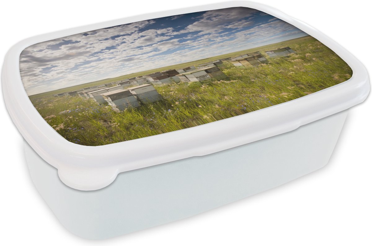 Broodtrommel Wit - Lunchbox - Brooddoos - Bijen - Bloem - Lucht - 18x12x6 cm - Volwassenen