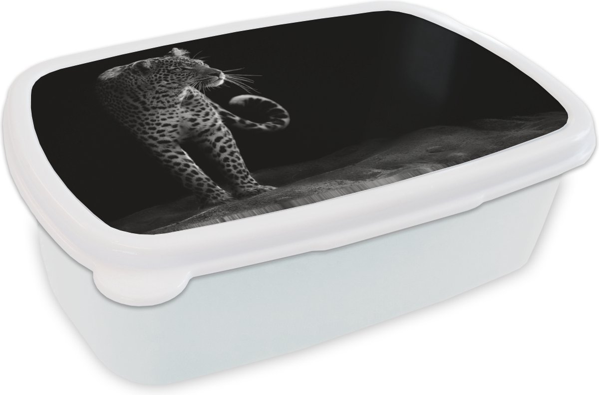 Broodtrommel Wit - Lunchbox - Brooddoos - Luipaard - Zwart - Wit - 18x12x6 cm - Volwassenen