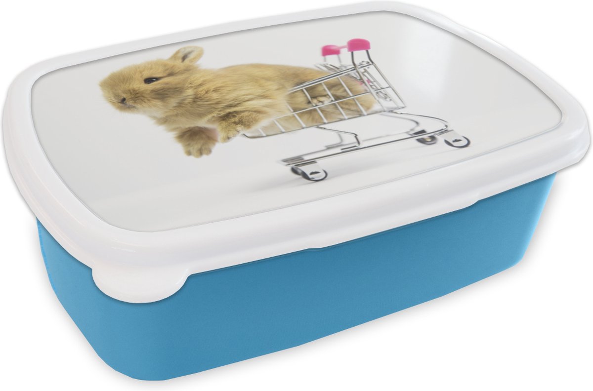 Broodtrommel Blauw - Lunchbox - Brooddoos - Konijn - Baby - Wit - 18x12x6 cm - Kinderen - Jongen