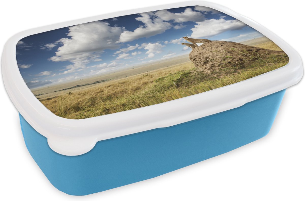 Broodtrommel Blauw - Lunchbox - Brooddoos - Cheeta's - Stenen - Gras - 18x12x6 cm - Kinderen - Jongen