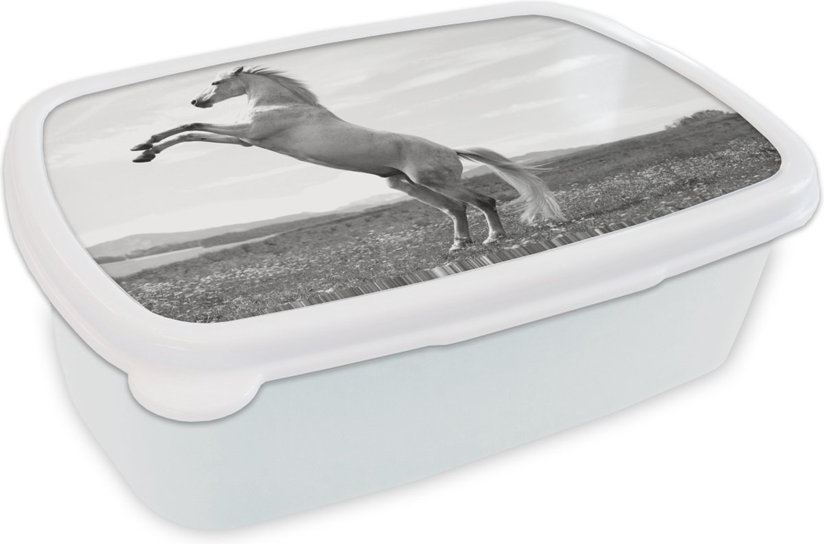 Broodtrommel Wit - Lunchbox - Brooddoos - Paard - Steigeren - Natuur - 18x12x6 cm - Volwassenen
